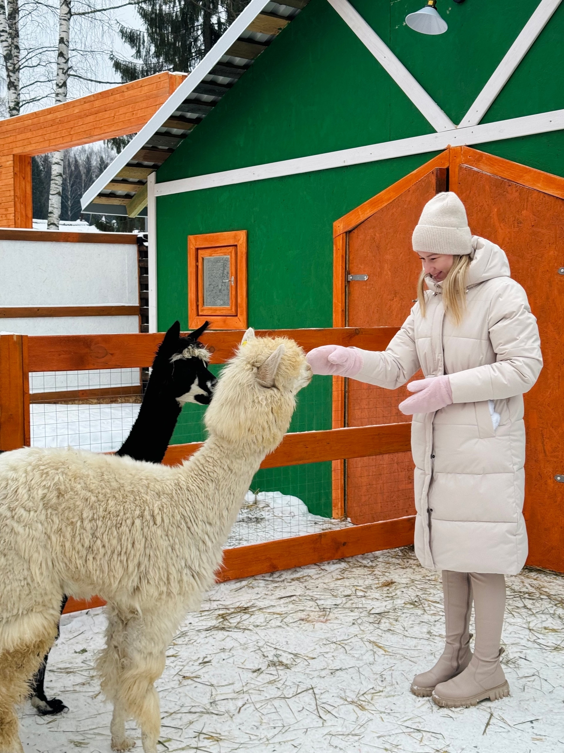 Тематический объект «Альпака парк»